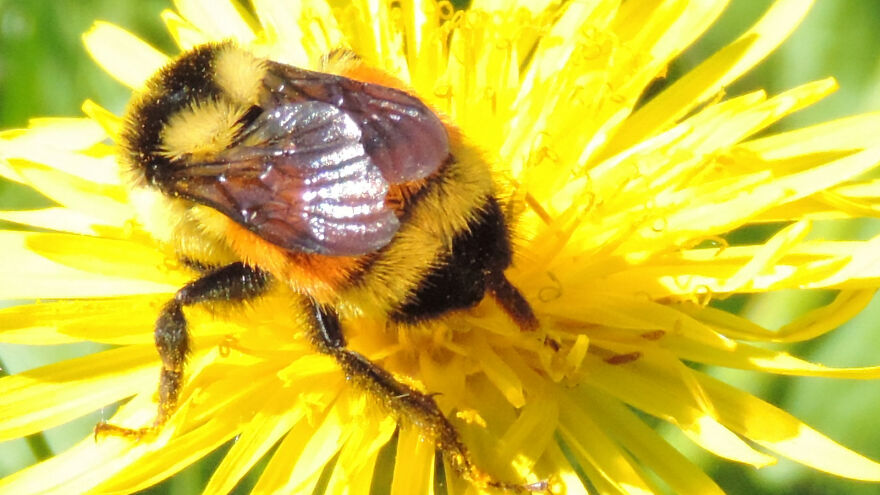 Here Are 19 Random Photos From My Camera Roll