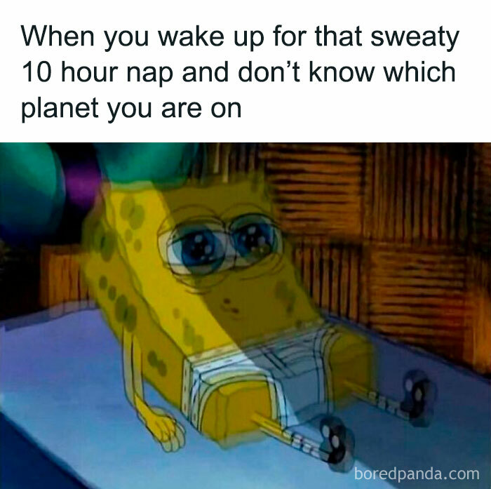 Relatable-Memes-Jokes-Memespointt