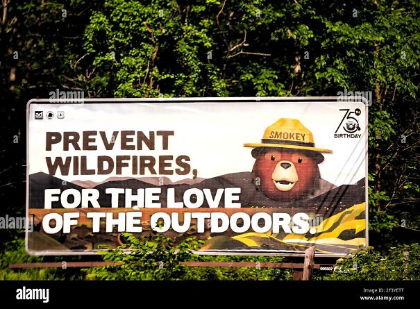 shenandoah-national-park-usa-june-9-2020-prevent-wildfires-for-love-of-outdoors-warning-danger-sign-with-bear-ranger-mascot-from-national-park-s-2F3YETT.jpg