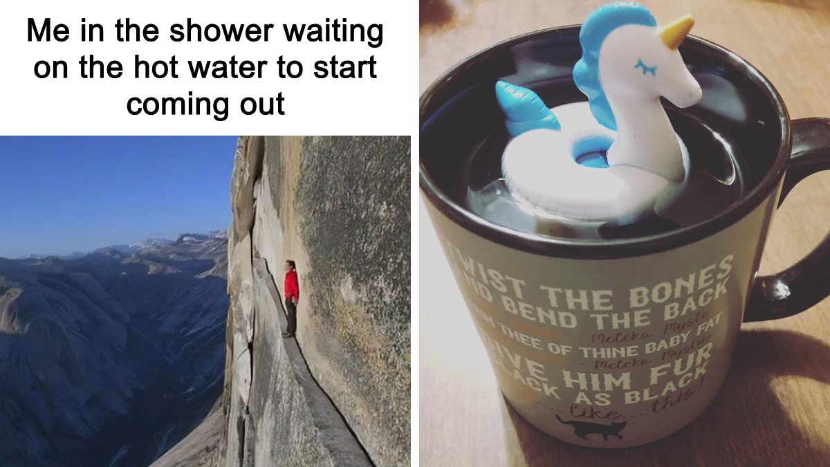 We’ve Discovered 50 Products That Are Equal Parts Hilarious And Helpful