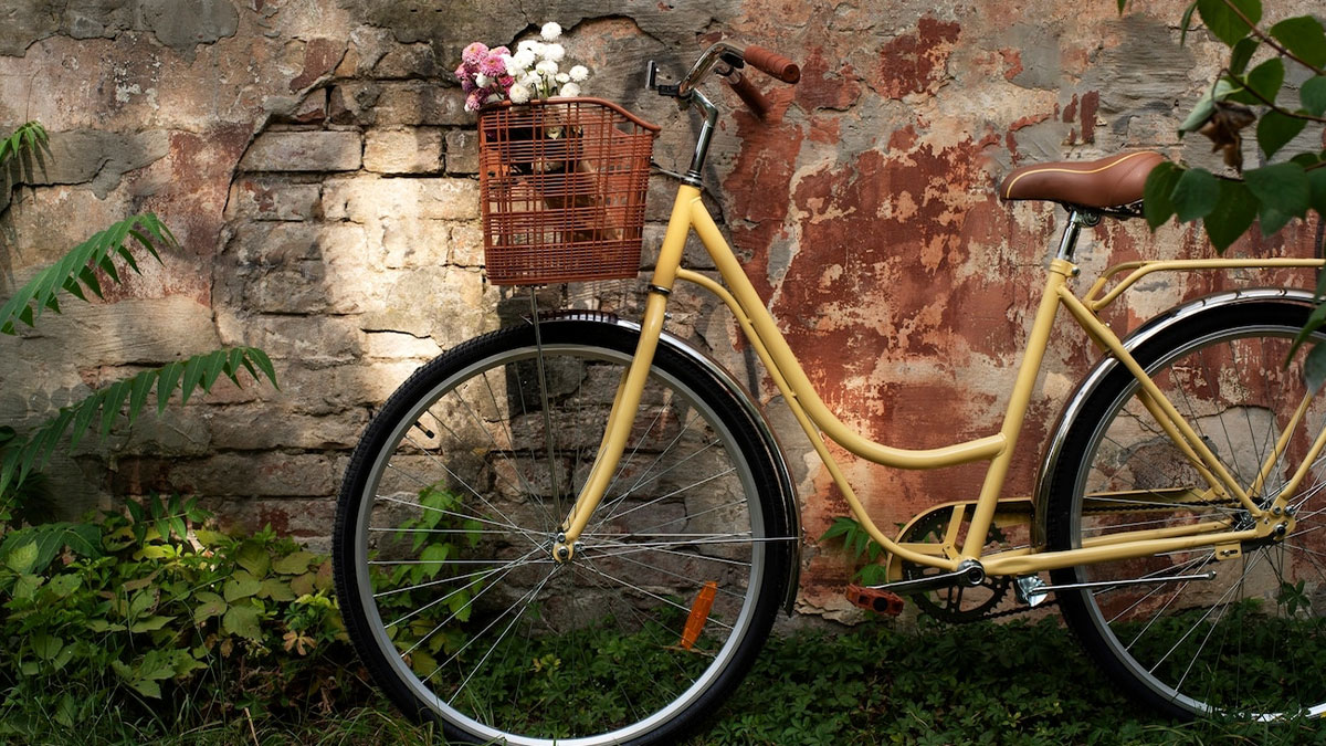 Sister Mistreats Brother, Steals And Dumps His Bike, But Soon Faces Dire Consequences