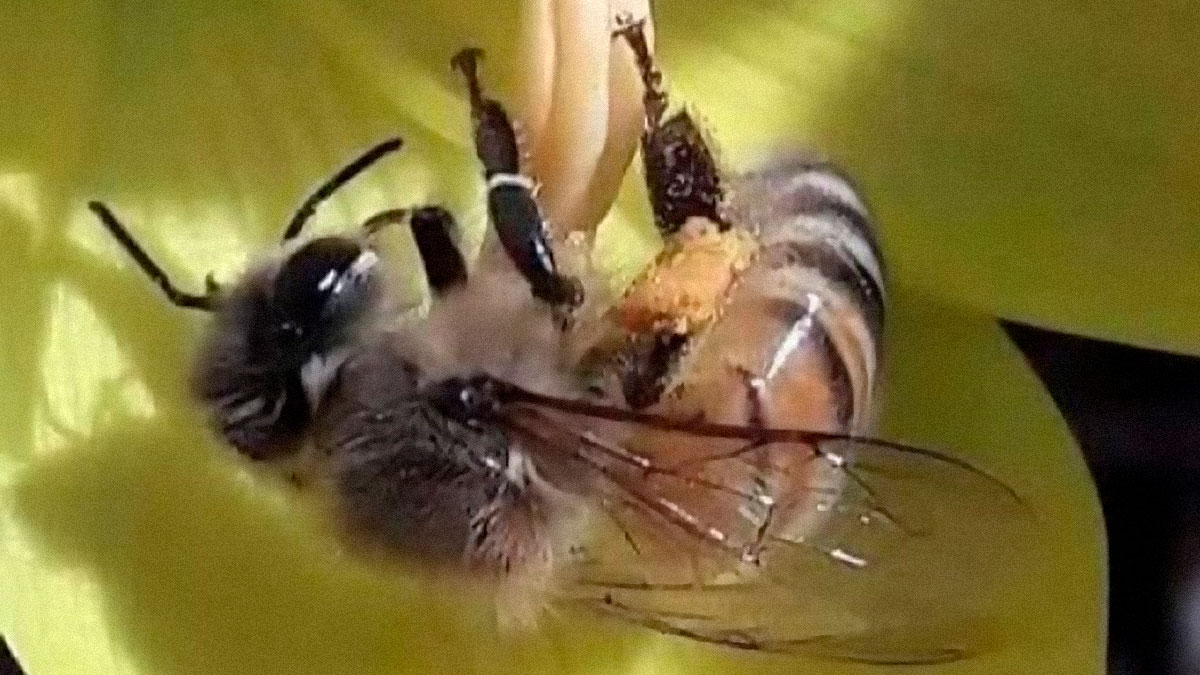 30 Fun, Interesting, And Strange Facts You Might Not Have Heard Of Before