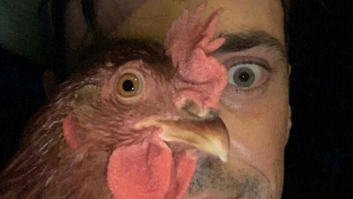 50 Posts So Unhinged, You May End Up Laughing While Glancing Over Your Shoulder