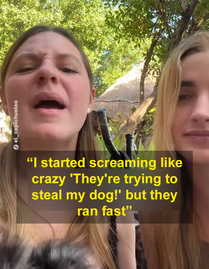 Pet Owner Accuses Tourists Of Snatching Her Adorable Puppy Before Trying To Flee Pet Owner Accuses Tourists Of Snatching Her Adorable Puppy Before Trying To Flee