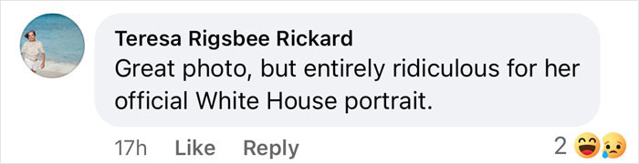 Comment highlighting critique of Melania Trump's official portrait amidst freelance magician discussion. Comment highlighting critique of Melania Trump's official portrait amidst freelance magician discussion.