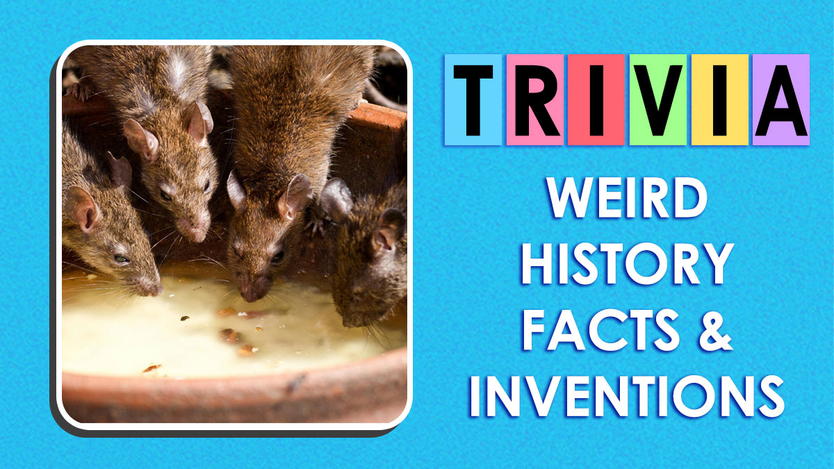 “Weird, Right?”: 15 Odd Truths That Prove History Is Stranger Than Fiction