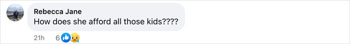 Rebecca Jane's comment questioning Nadya Suleman's finances for raising her octuplets, with reactions shown. Rebecca Jane's comment questioning Nadya Suleman's finances for raising her octuplets, with reactions shown.
