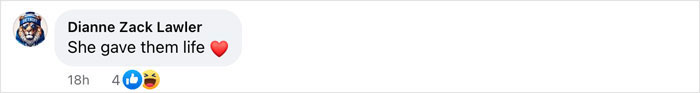 Dianne Zack Lawler's comment 'She gave them life' with heart emoji. 18h ago, 4 likes, 1 laugh reaction. Dianne Zack Lawler's comment 'She gave them life' with heart emoji. 18h ago, 4 likes, 1 laugh reaction.