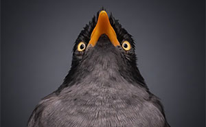 The 2024 Photographer Of The Year Winners Have Been Revealed By 1839 Awards (41 Pics)