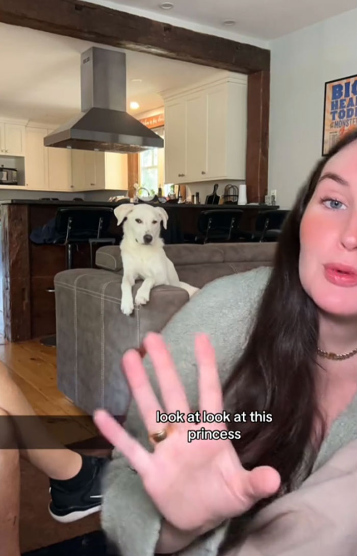 Woman with a dog named Pearl on a couch, discussing the name in a cozy living room. Woman with a dog named Pearl on a couch, discussing the name in a cozy living room.