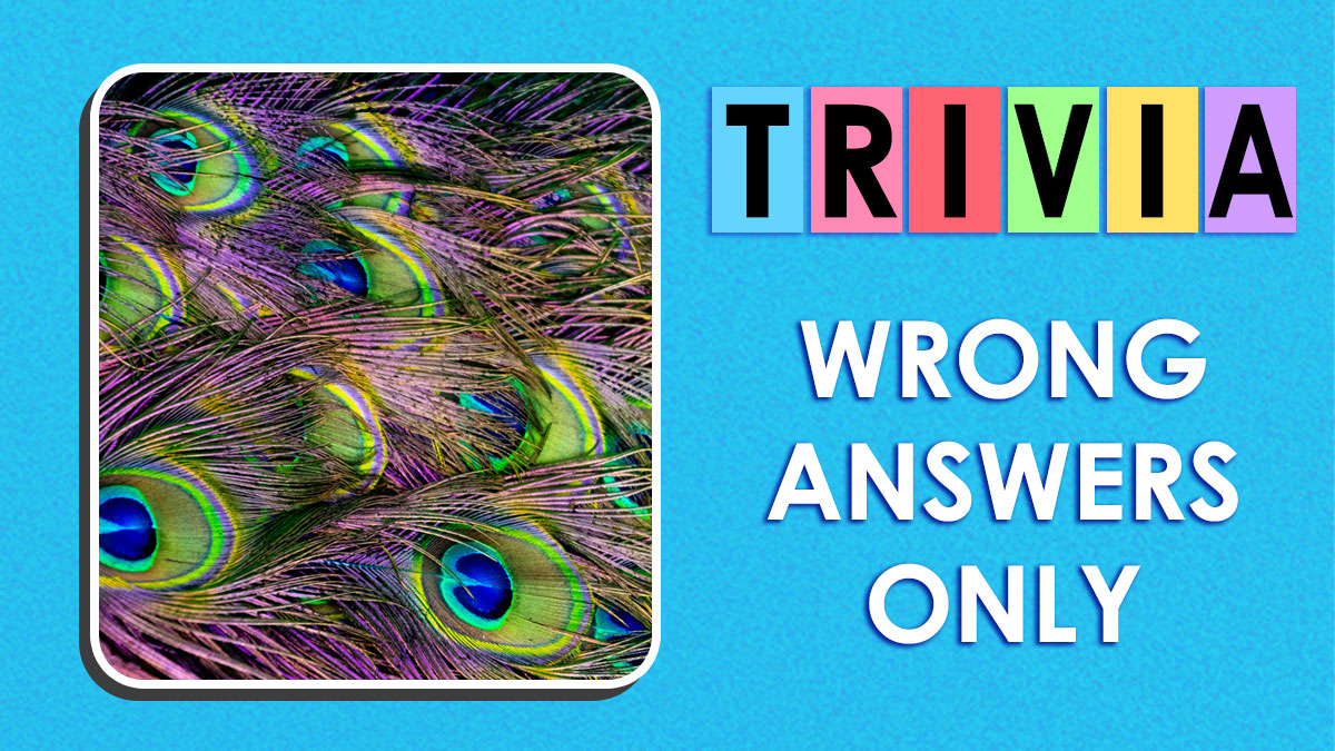 Spot The Mistake: If You Get 22/25, You’re A True Trivia Master