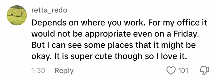 Comment discussing outfit appropriateness for work, mentioning differing office standards and personal opinion on its cuteness. Comment discussing outfit appropriateness for work, mentioning differing office standards and personal opinion on its cuteness.
