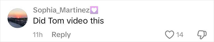 Comment asking if Tom filmed the video, with likes and dislikes shown. Comment asking if Tom filmed the video, with likes and dislikes shown.