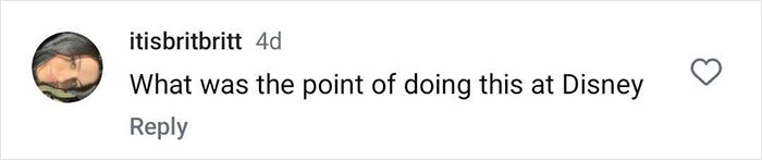 Comment questioning filming a woman needing extra seats at Disney rides. Comment questioning filming a woman needing extra seats at Disney rides.