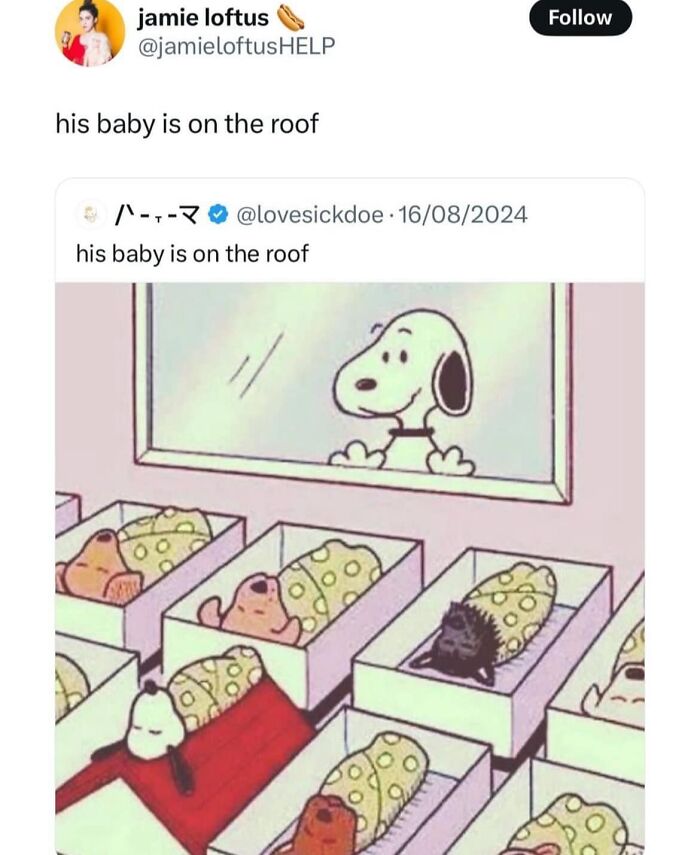 Funny meme featuring Snoopy looking at puppies in boxes with the caption his baby is on the roof, perfect for low energy moments.