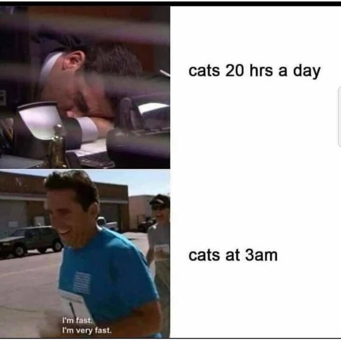 Man sleeping at desk vs man running fast outdoors, humorous cat meme showing energy contrast, funny memes for low energy moments.