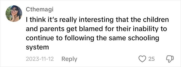 Social media comment discussing children's education system and parenting challenges, with a profile picture and engagement icons. Social media comment discussing children's education system and parenting challenges, with a profile picture and engagement icons.
