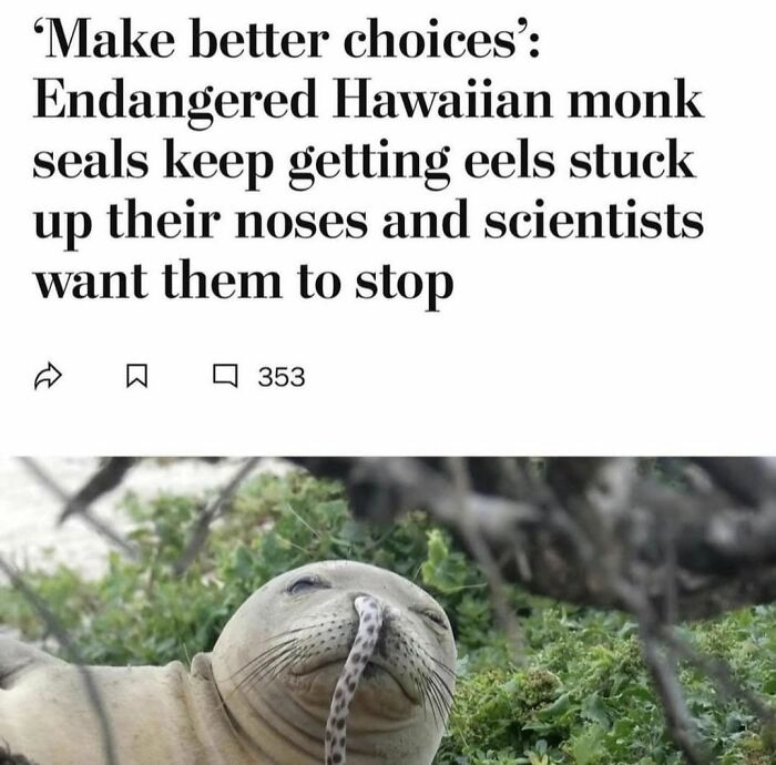 Seal has an eel stuck in its nose, illustrating an uplifting meme about making better choices and positivity.
