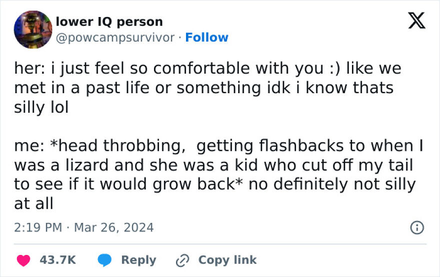 Funny puncrastination meme about past life and being a lizard.