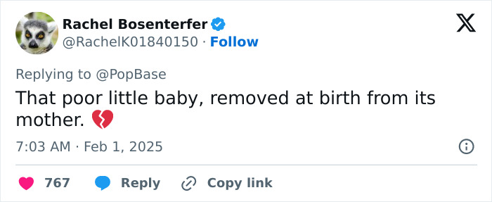 Tweet expressing concern about surrogacy and its impact on a baby, mentioning birth from the mother. Tweet expressing concern about surrogacy and its impact on a baby, mentioning birth from the mother.