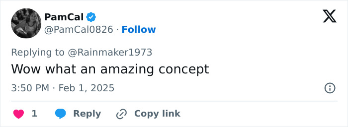 Tweet by PamCal0826 reacting to a concept with excitement. Tweet by PamCal0826 reacting to a concept with excitement.