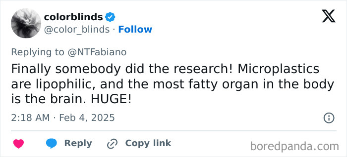 Tweet discussing microplastics research and their potential presence in the brain as a fatty organ. Tweet discussing microplastics research and their potential presence in the brain as a fatty organ.