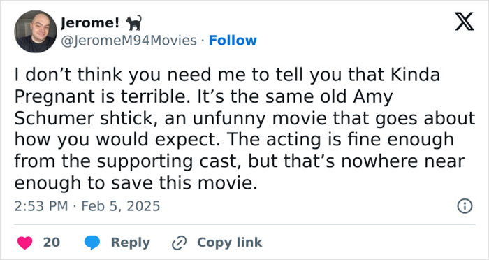 Tweet criticizing Amy Schumer's comedy as unoriginal and poorly executed, despite decent performances by the supporting cast. Tweet criticizing Amy Schumer's comedy as unoriginal and poorly executed, despite decent performances by the supporting cast.