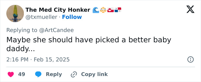 Tweet mentioning Elon Musk with text, "Maybe she should have picked a better baby daddy," dated February 15, 2025. Tweet mentioning Elon Musk with text, "Maybe she should have picked a better baby daddy," dated February 15, 2025.