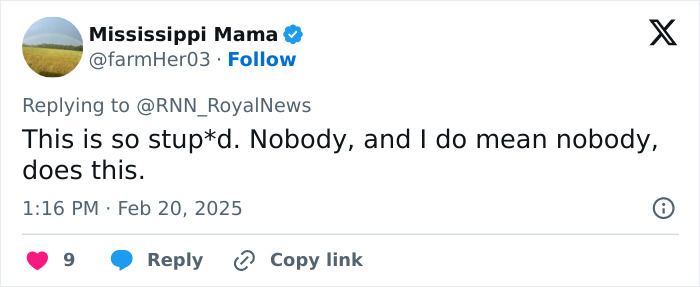 Tweet reacting to Meghan Markle’s advice on kids' parties, calling it “stup*d” and unbelievable, by user Mississippi Mama. Tweet reacting to Meghan Markle’s advice on kids' parties, calling it “stup*d” and unbelievable, by user Mississippi Mama.