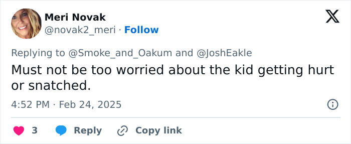 Tweet by Meri Novak critiquing Elon Musk over concerns about leaving his son X unattended. Tweet by Meri Novak critiquing Elon Musk over concerns about leaving his son X unattended.