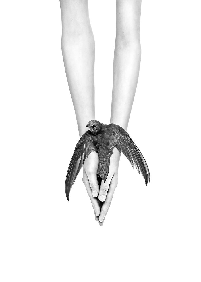 "Everything In Our Hands" By Malgorzata Fober