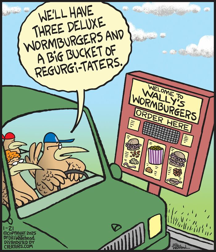 Birds order wormburgers and regurigi-taters at Wally's Wormburgers drive-thru. Comic by Bill Whitehead.