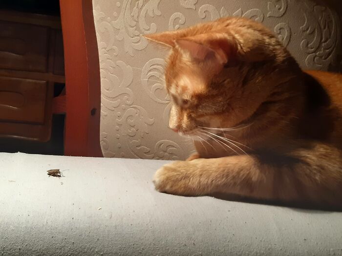 To Touch Or Not To Touch, The Question Is Now