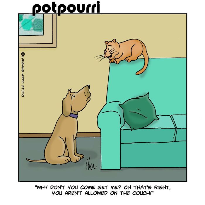 Dog humor cartoon by Laughing Hippo Studio, featuring a cat teasing a dog from the couch.