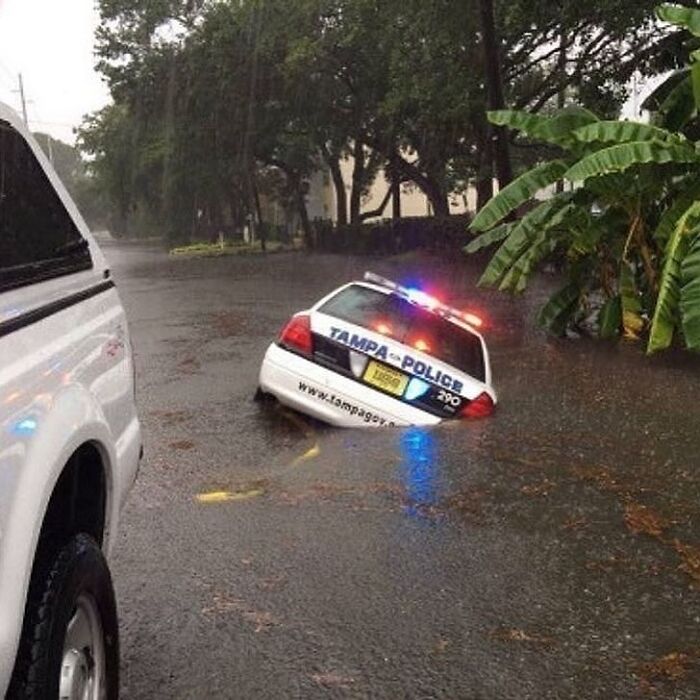 Police car partly submerged in a flooded street, showcasing interesting images from Cultureavenue.