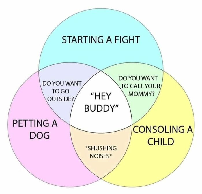 Venn diagram with funny meme phrases about starting a fight, petting a dog, and consoling a child.