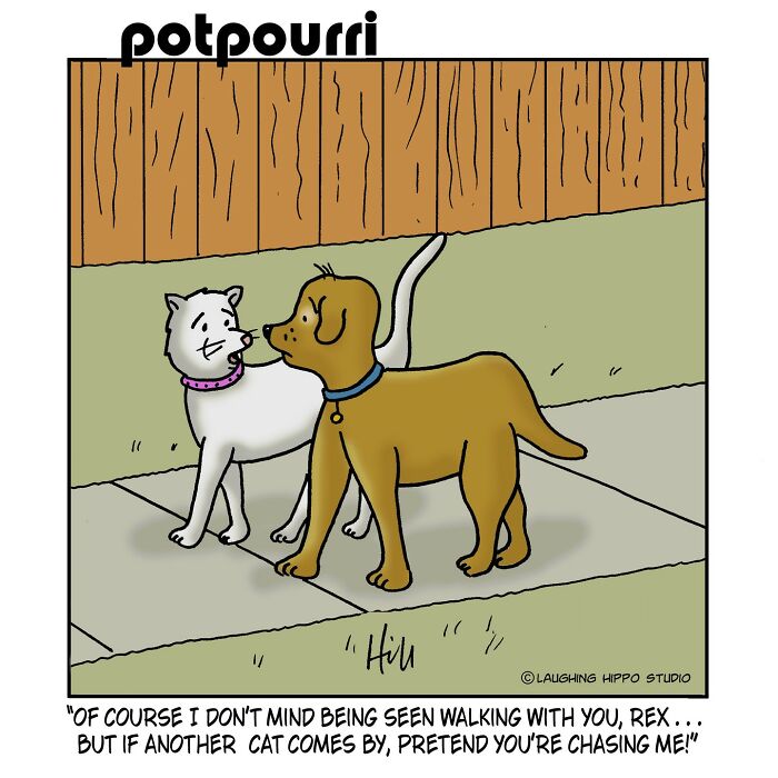 Dog and cat humor comic by Laughing Hippo Studio, featuring silly situations.