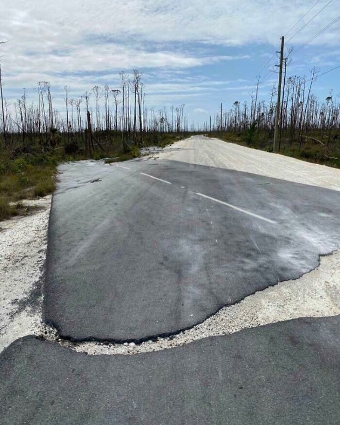 Damaged road with uneven asphalt in a desolate area, featuring barren trees under a cloudy sky.