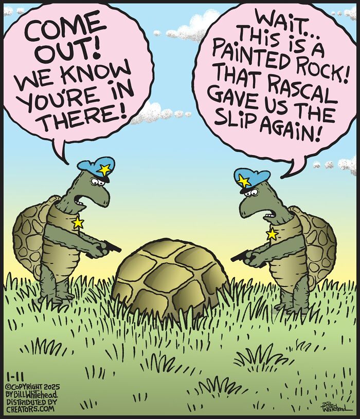 Two turtle detectives puzzled over a painted rock in a funny one-panel comic by Bill Whitehead.