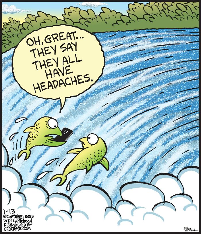Two fish jump over a waterfall, one reading a phone: "Oh, great... they say they all have headaches." Funny one-panel comic.