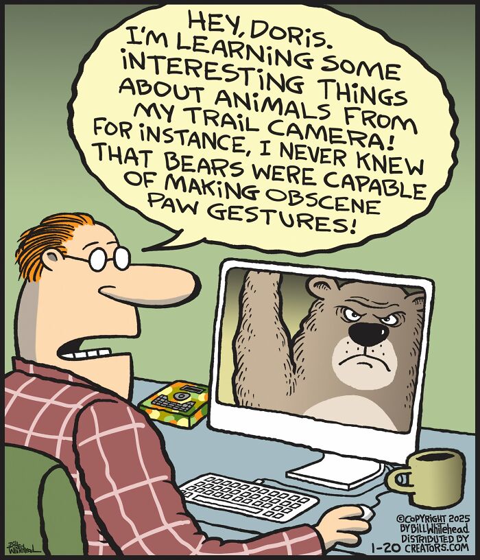 Comic by Bill Whitehead: A man watches a bear making a funny gesture on a computer screen.