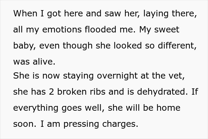 Image of text describing a woman's emotional story about her lost dog with injuries and pressing charges. Image of text describing a woman's emotional story about her lost dog with injuries and pressing charges.