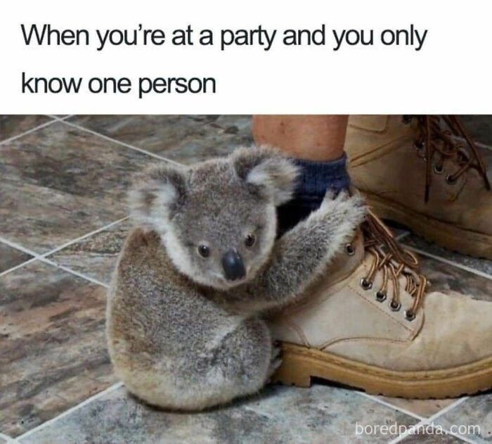 Koala hugging a person's boot, illustrating a meme about feeling alone at a party, adding a dose of positivity.