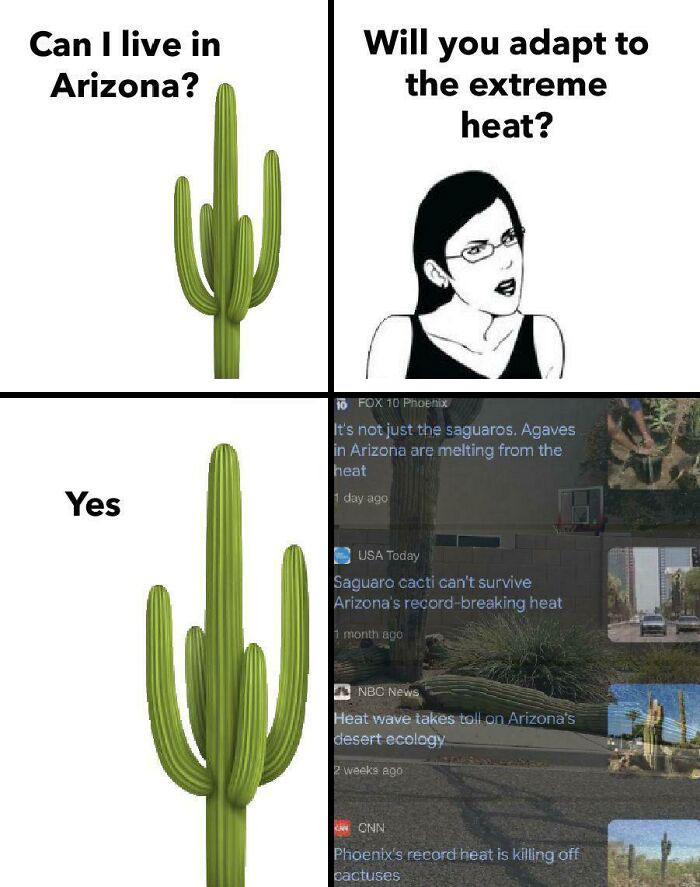Arizona meme about cacti adapting to extreme heat, featuring news headlines on record-breaking temperatures.