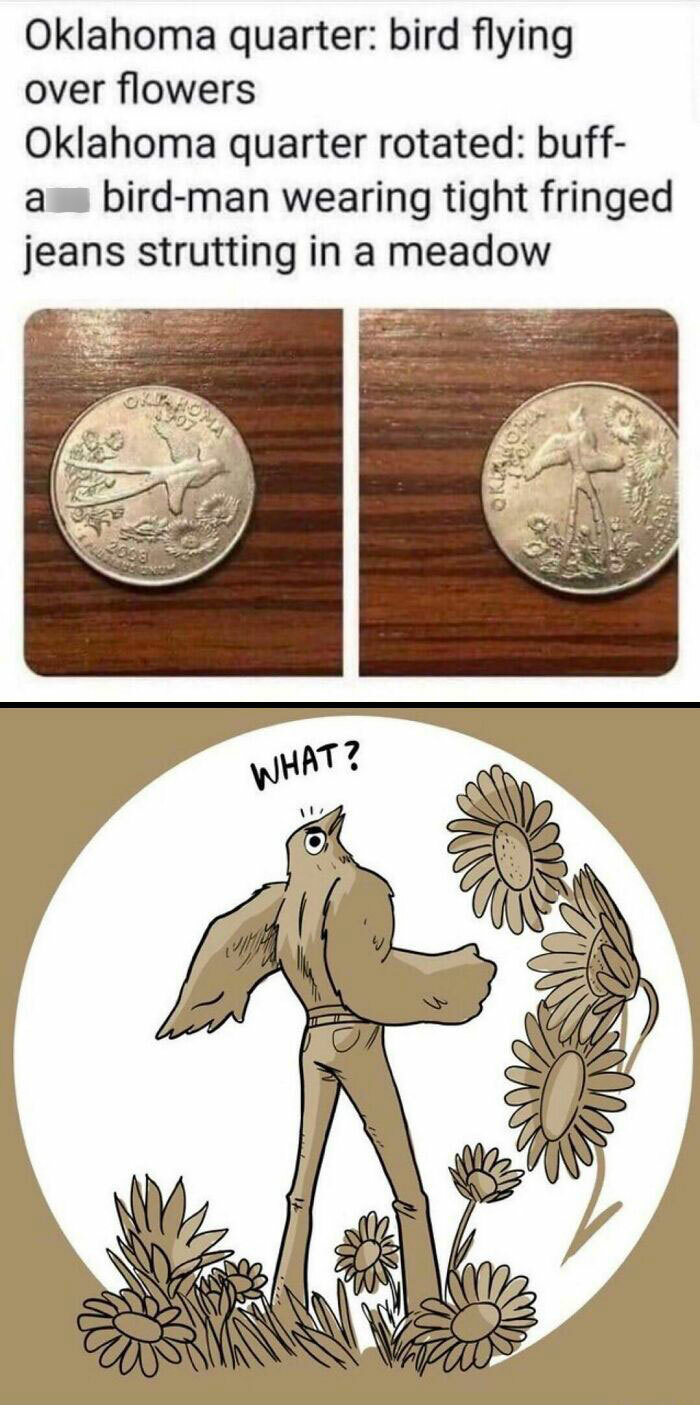 Oklahoma meme showing quarter with bird resembling a muscular bird-man strutting in a meadow.