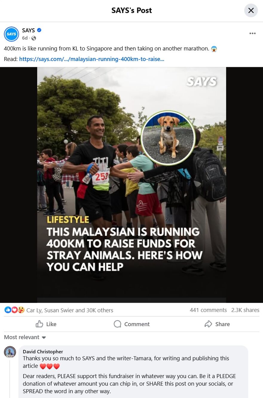 Malaysian Is Running 250 Miles To Raise Funds For Stray Animals. The Fundraiser Is Going Viral—can You Help Spread It Further? Malaysian Is Running 250 Miles To Raise Funds For Stray Animals. The Fundraiser Is Going Viral—can You Help Spread It Further?