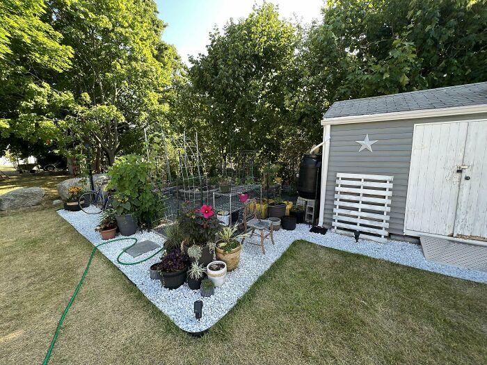 DIY project garden corner with potted plants and a small shed.