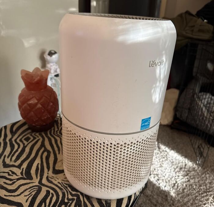 A Levoit air purifier on a patterned table, highlighted as a smart purchase choice.