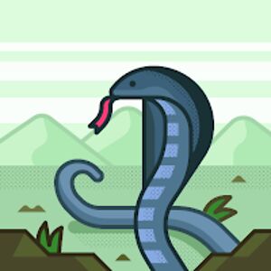 gracewheatley avatar