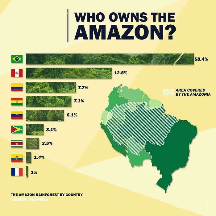 Bar chart and map showing the percentage of Amazon rainforest area owned by each country with curiosity interesting map data.